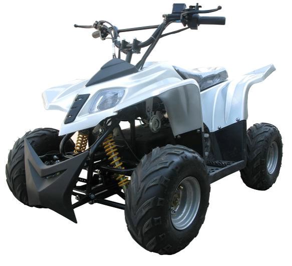 Ultimate 48 volt electric quad ATV